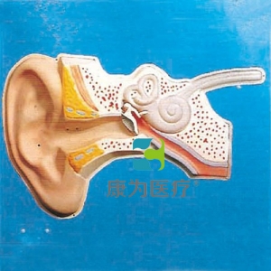 “康為醫(yī)療”耳聽覺調(diào)節(jié)模型（聲控）