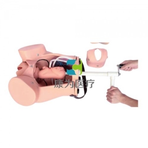 “康為醫(yī)療”KANGWAY高級(jí)分娩綜合技能訓(xùn)練模型(分娩醫(yī)生訓(xùn)練模型)