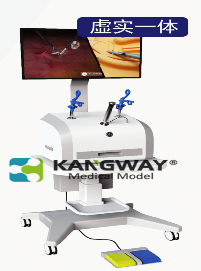 腹腔鏡下膽囊切除虛實結(jié)合模擬系統(tǒng) Virtual reality combined simulation system for cholecystectomy MODEL：SynDaver6510系列 品牌：SynDaver 辛達(dá)弗機(jī)器人